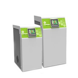 portable mass spectrometry