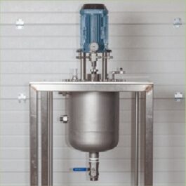 Plant scale pressure reactors