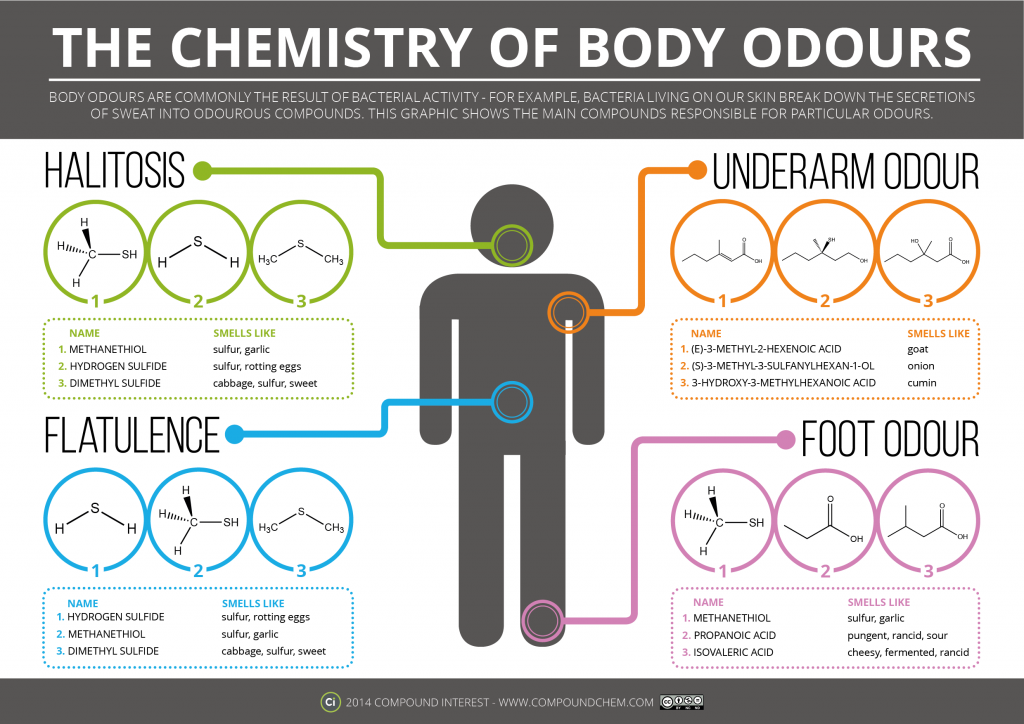 chemistry of body odours