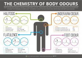 chemistry of body odours