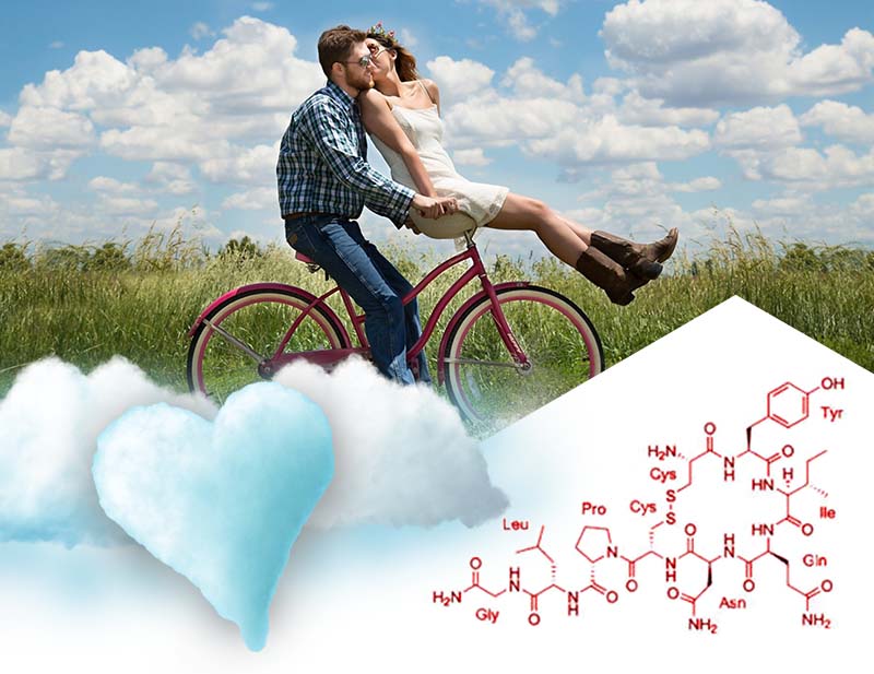the chemistry of love - science blog from Asynt: worldwide laboratory equipment