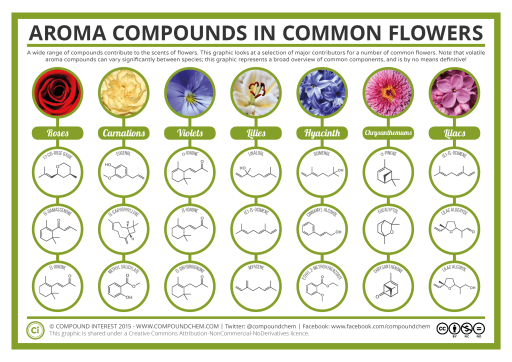 Aroma Chemistry Scents of Flowers Compound Interest image