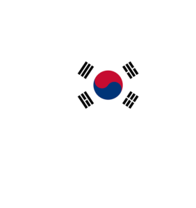 Find your local Asynt distributor in South Korea