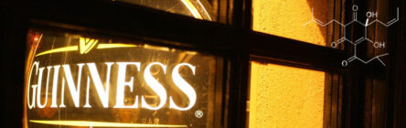 chemistry of guinness blog