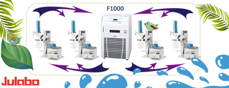 combine four rotary evaporators with one recirculating chiller with Julabo and Asynt
