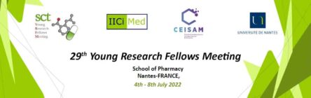 29th Young Research Fellows Meeting