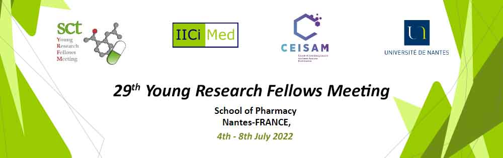 29th Young Research Fellows Meeting