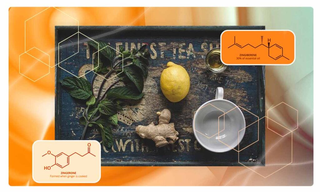 The chemistry of ginger - scientific blog from Asynt chemistry