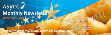Asynt monthly newsletter December 2021