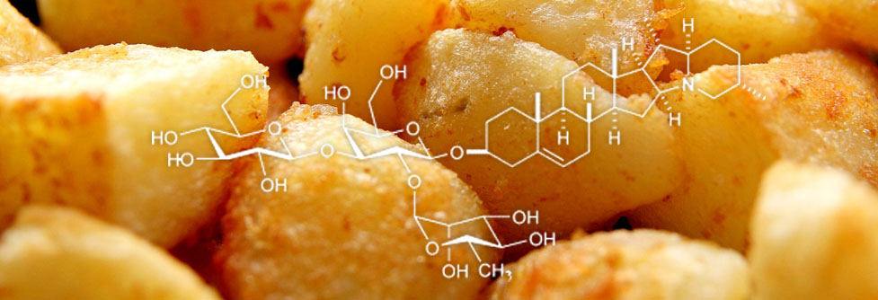 solanine and the chemistry of roast potatoes