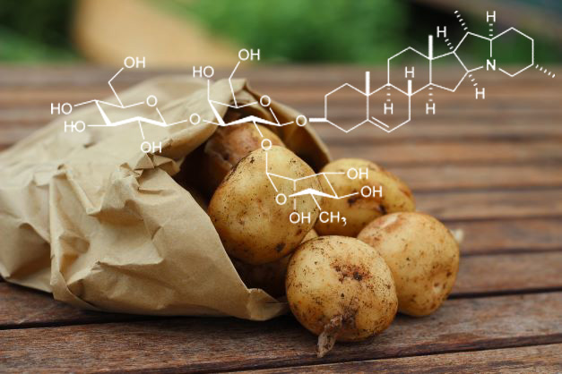 the chemistry of potatoes - solanine
