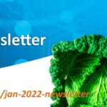 Asynt January 2022 Newsletter