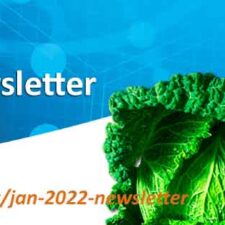 Asynt January 2022 Newsletter