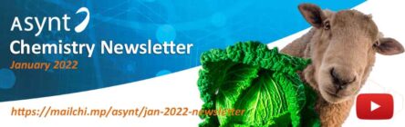 Asynt January 2022 Newsletter