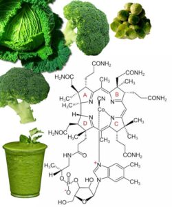 Veganuary and vitamin B12