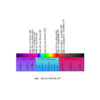 LightSyn Lighthouse photochemistry reactor UV spectrum range available - from Asynt, global laboratory experts