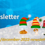 Asynt December 2022 chemistry newsletter
