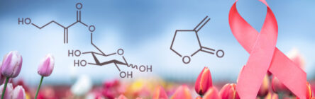 the chemistry of tulips - Asynt chemistry blog