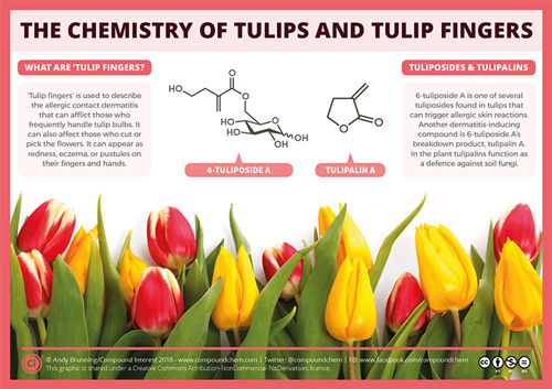 the chemistry of tulips from Compound Interest